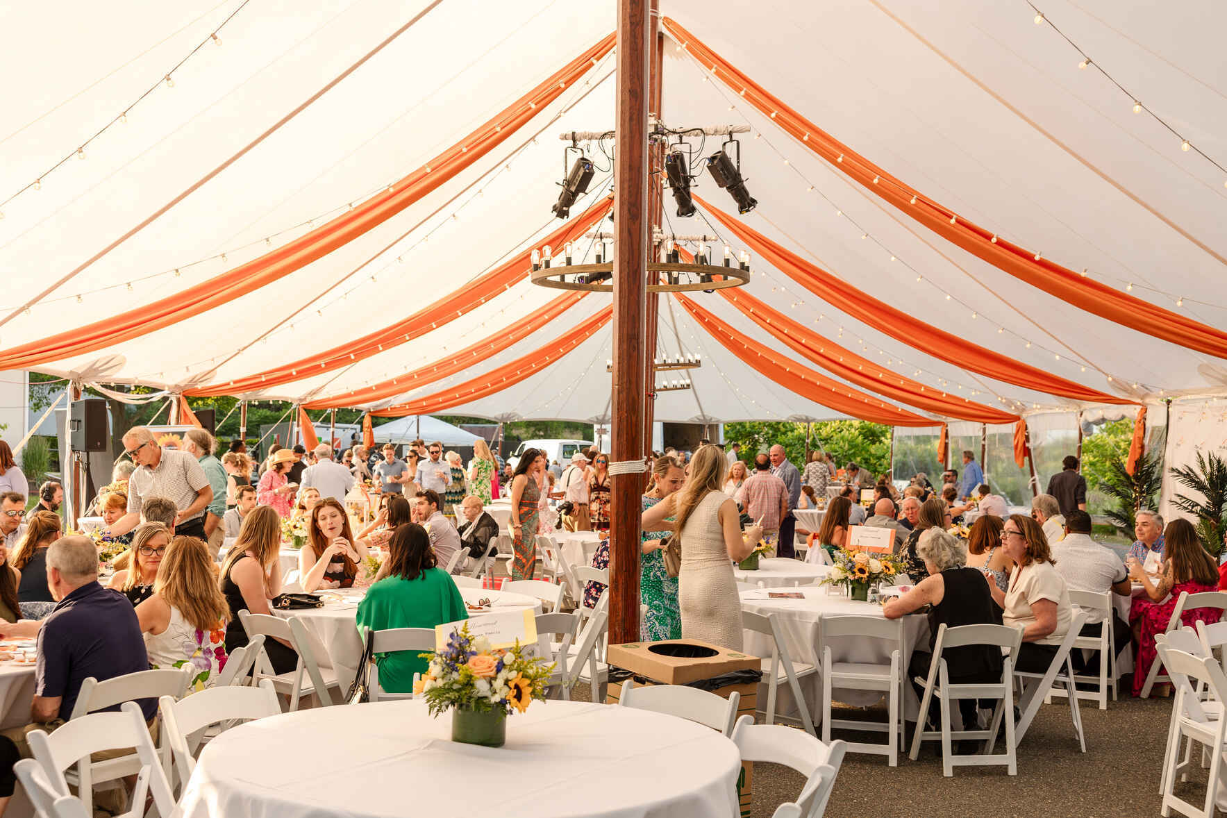 13th Annual Summer Soiree image