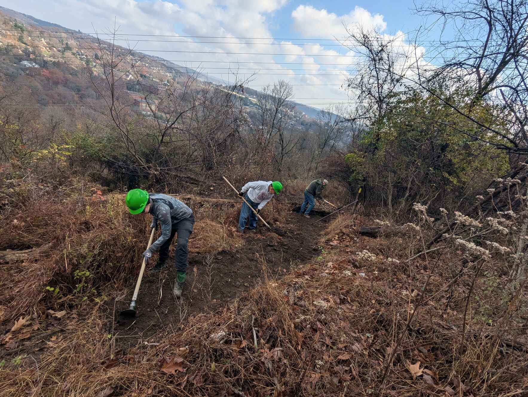Girty's Woods- Trail Maintenance Volunteer Workday image