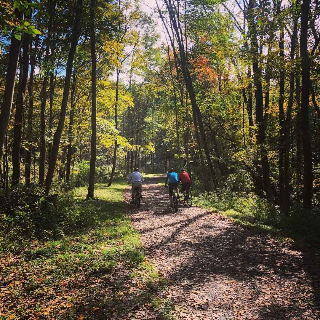 Bike and Brunch image