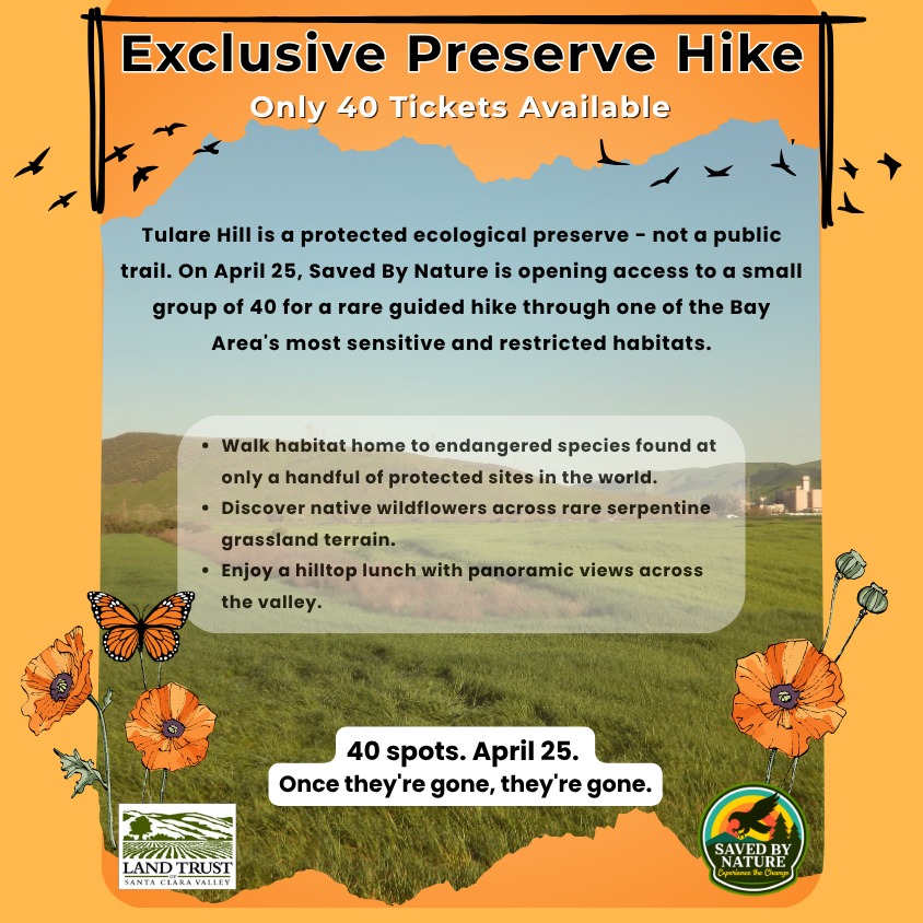 Tulare Hill: Restricted Access Hike image