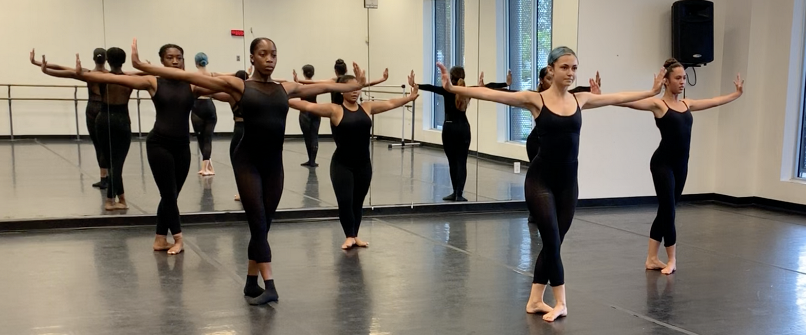 DNM Summer Intensive: The Company Experience  image