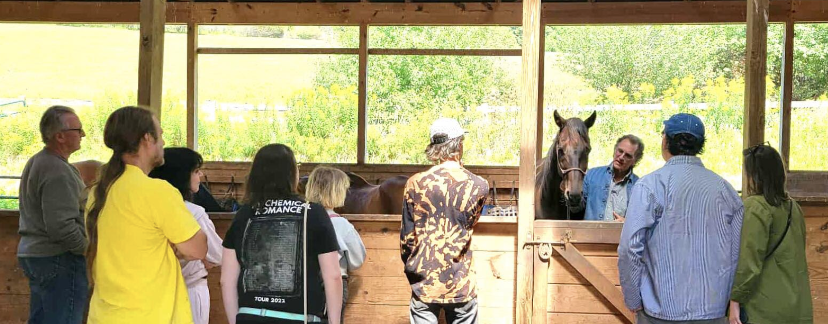 "Meet the Herd" Clinics with Dan McCarthy image