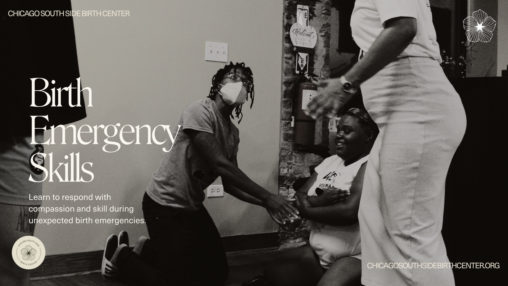 Birth Emergency Skills image