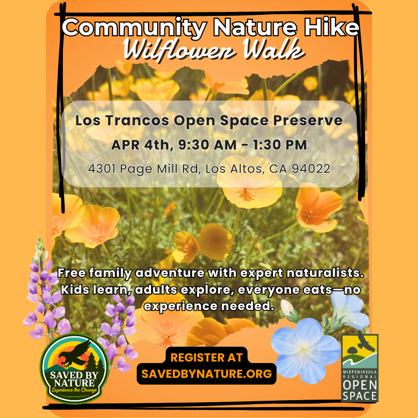 Community Nature Hike - Los Trancos Open Space Preserve - Wildflower Walk image