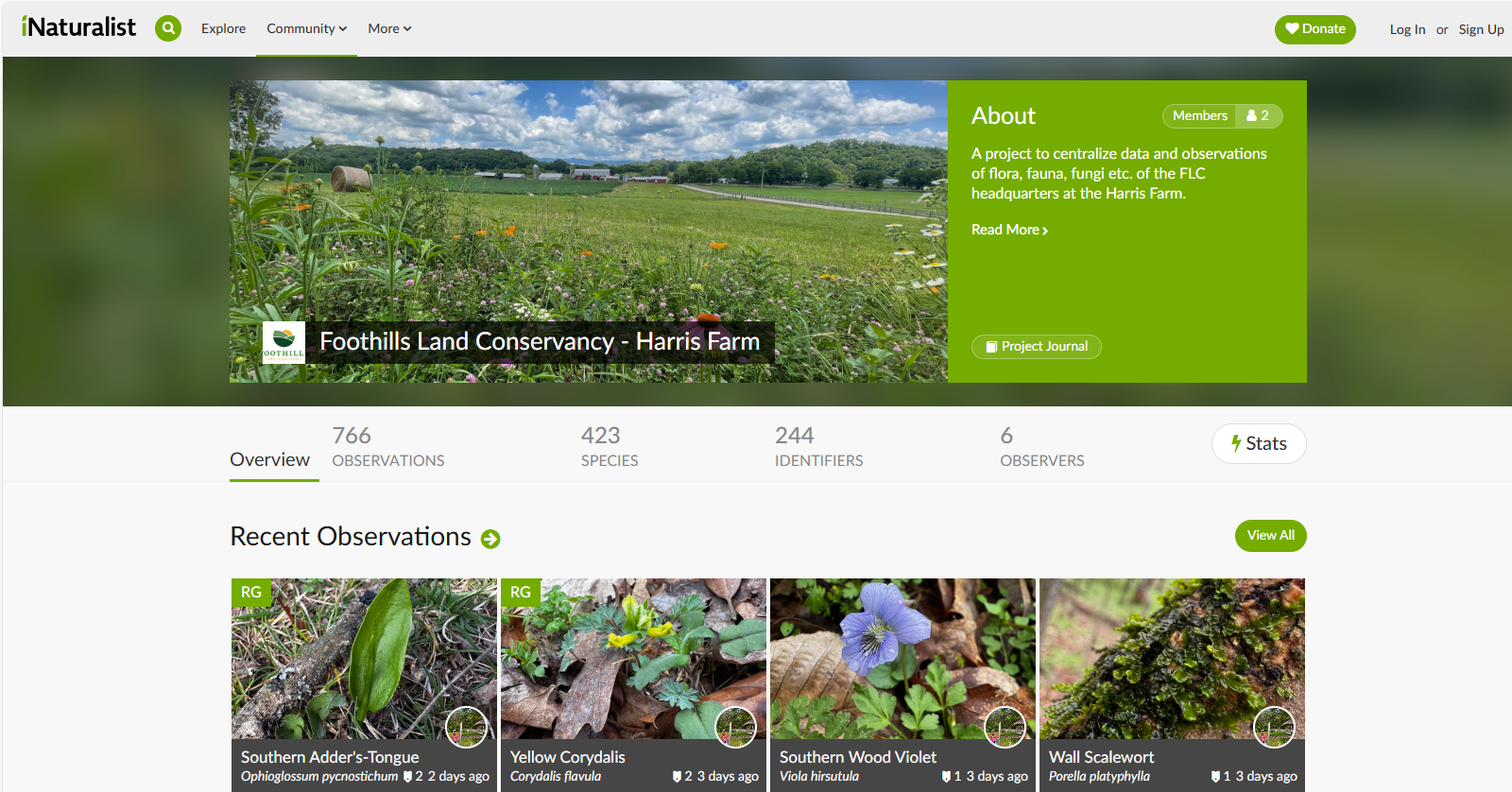 BioBlitz at FLC’s Harris Farm image