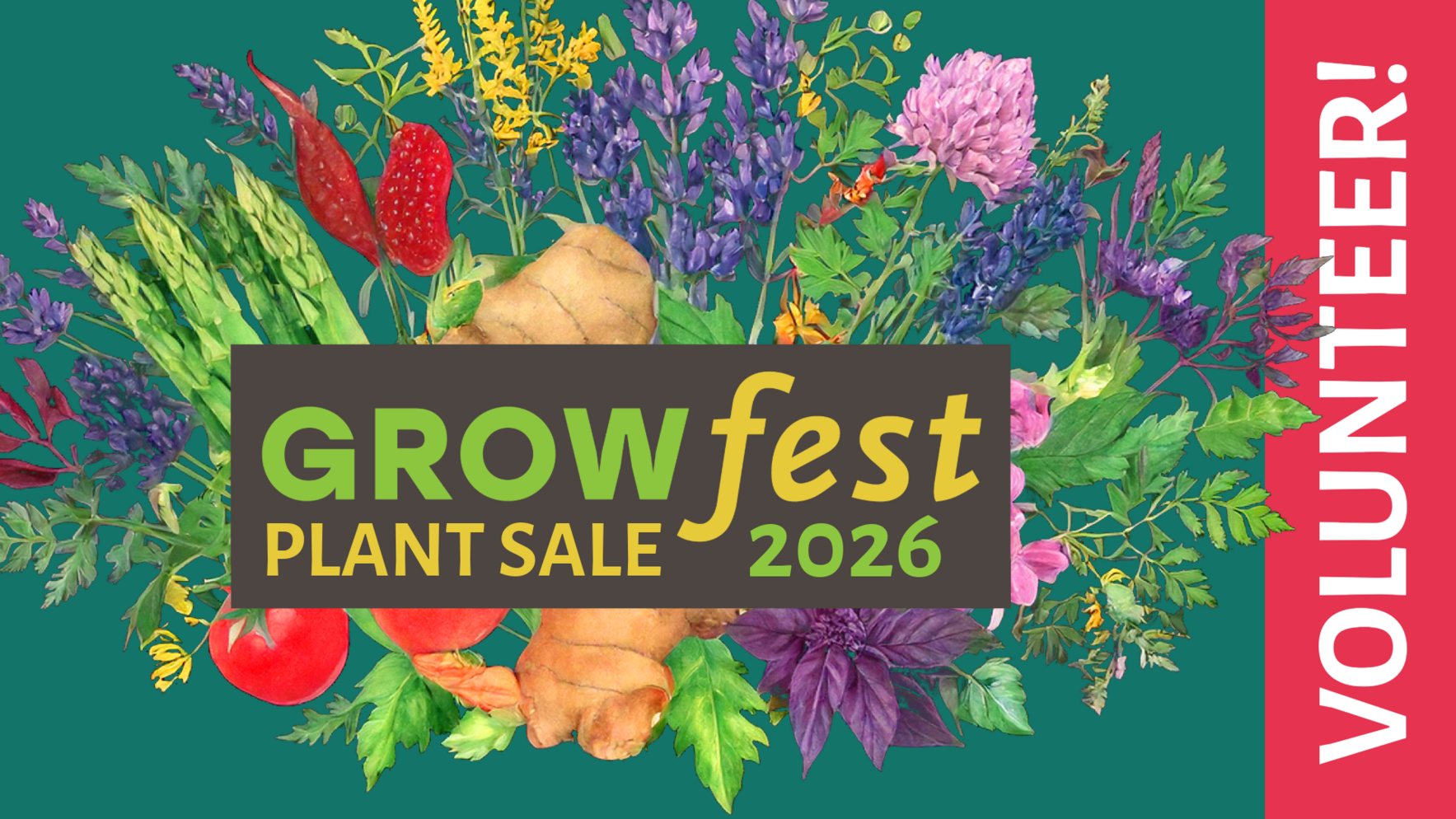 Volunteer for the 2026 GrowFest Plant Sale - Wednesday, April 29 image