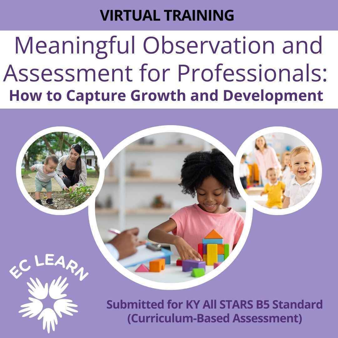 Meaningful Observation and Assessment for Professionals: How to Capture Growth and Development image