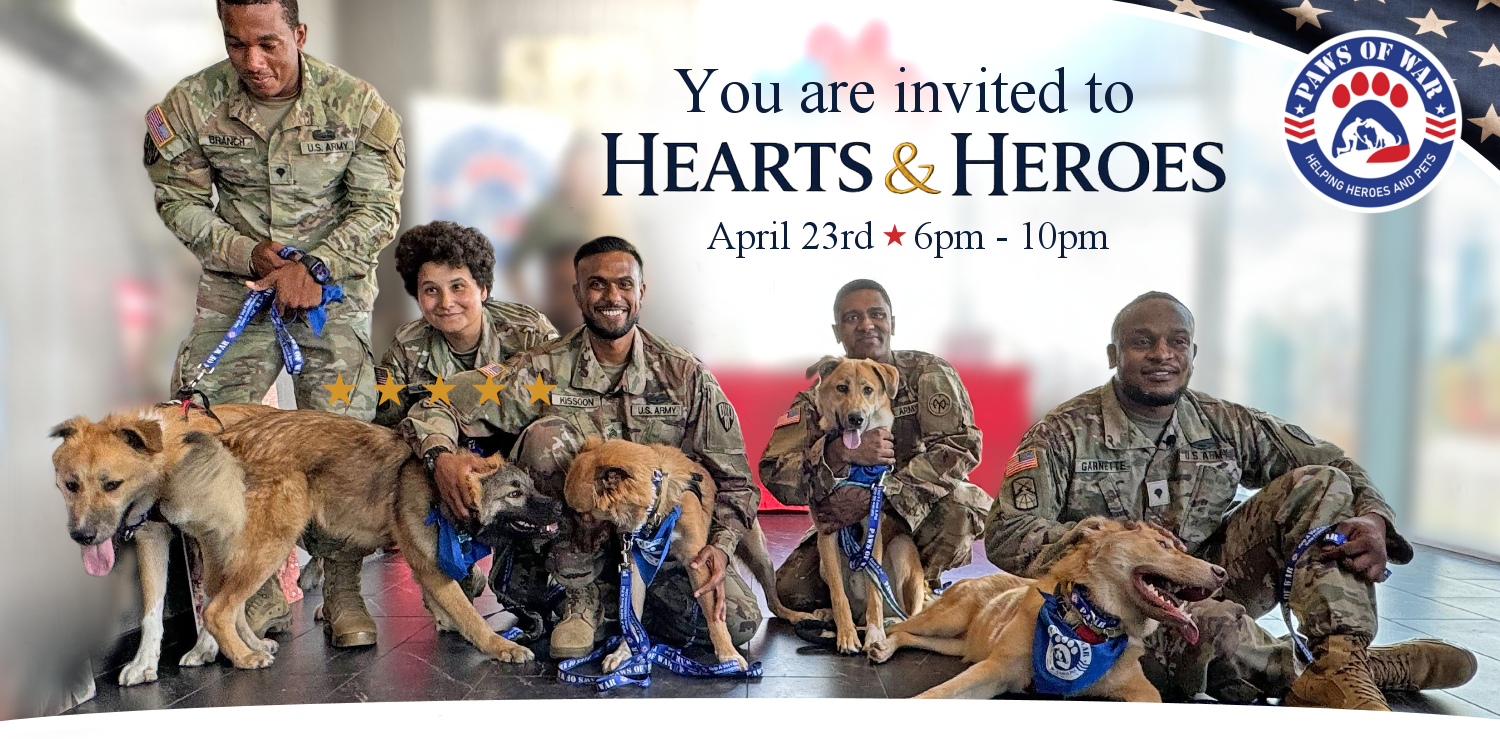 Hearts and Heroes 2026 image