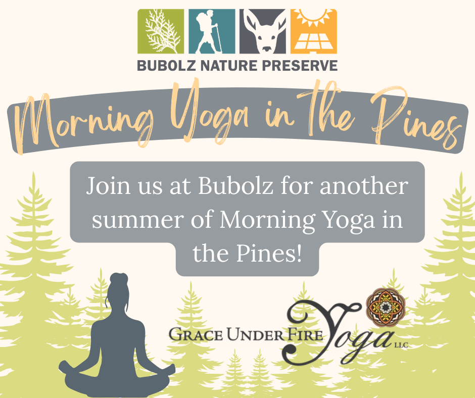Morning Yoga in the Pines (2026) image