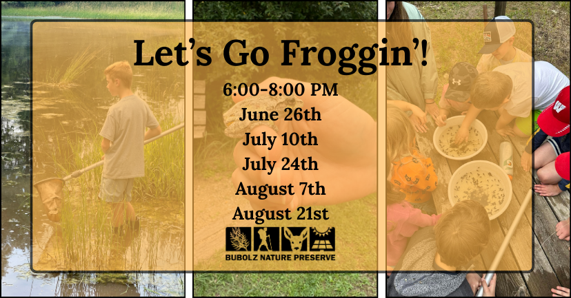 Let's Go Froggin'! (2026) image
