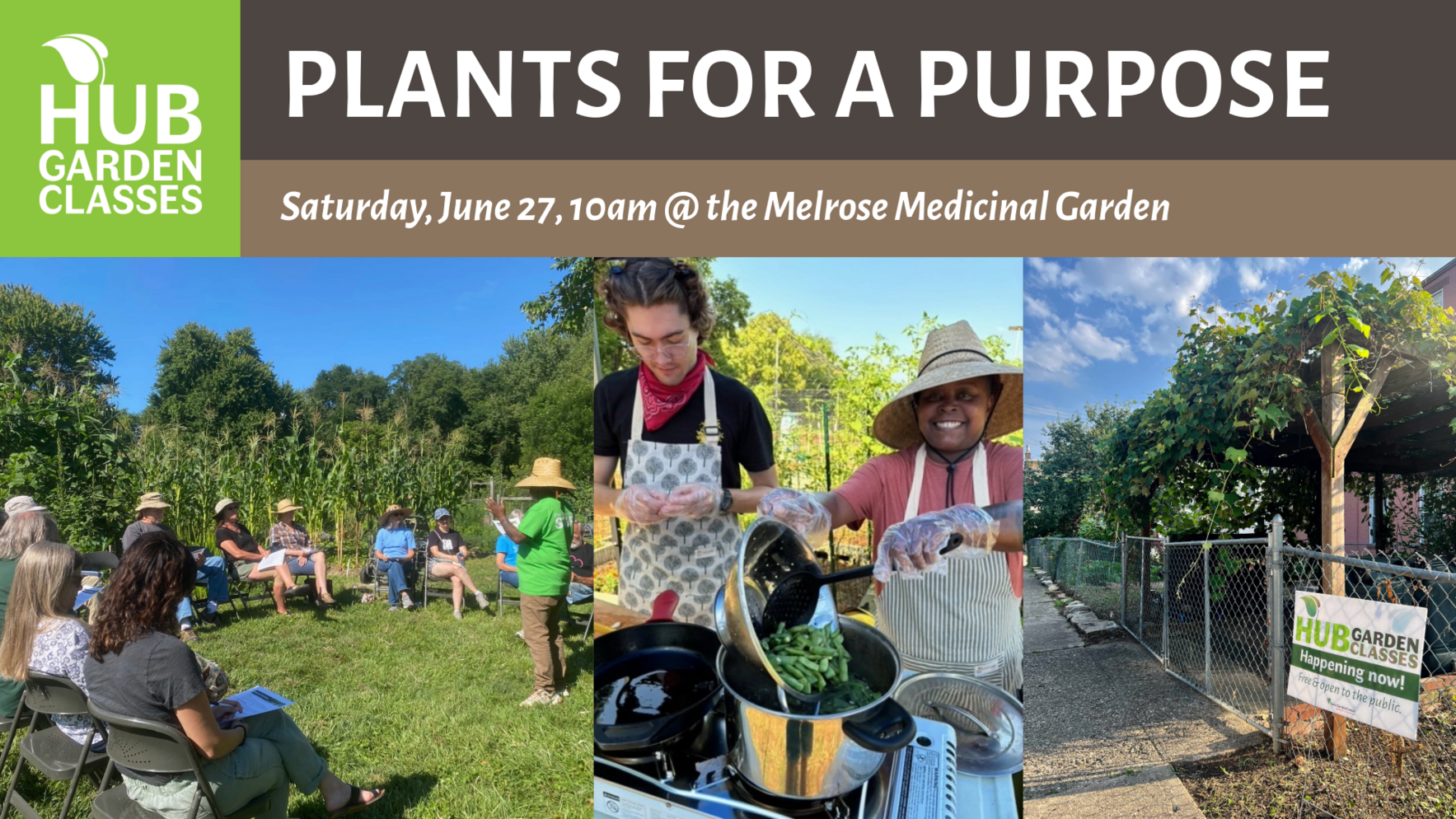 HUB 2026: Plants for a Purpose (Melrose) image