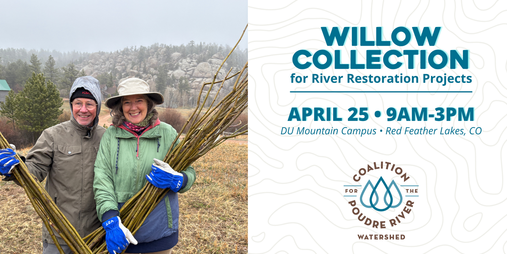 Willow Collection image