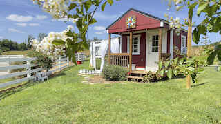 Sweet Surrender image