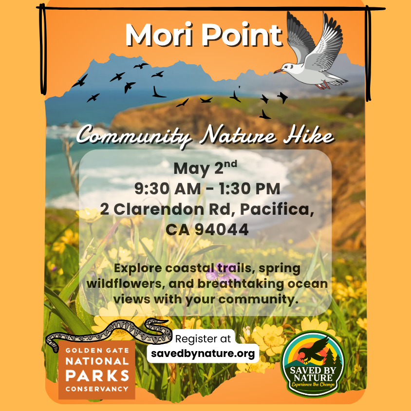Community Nature Hike - Mori Point image