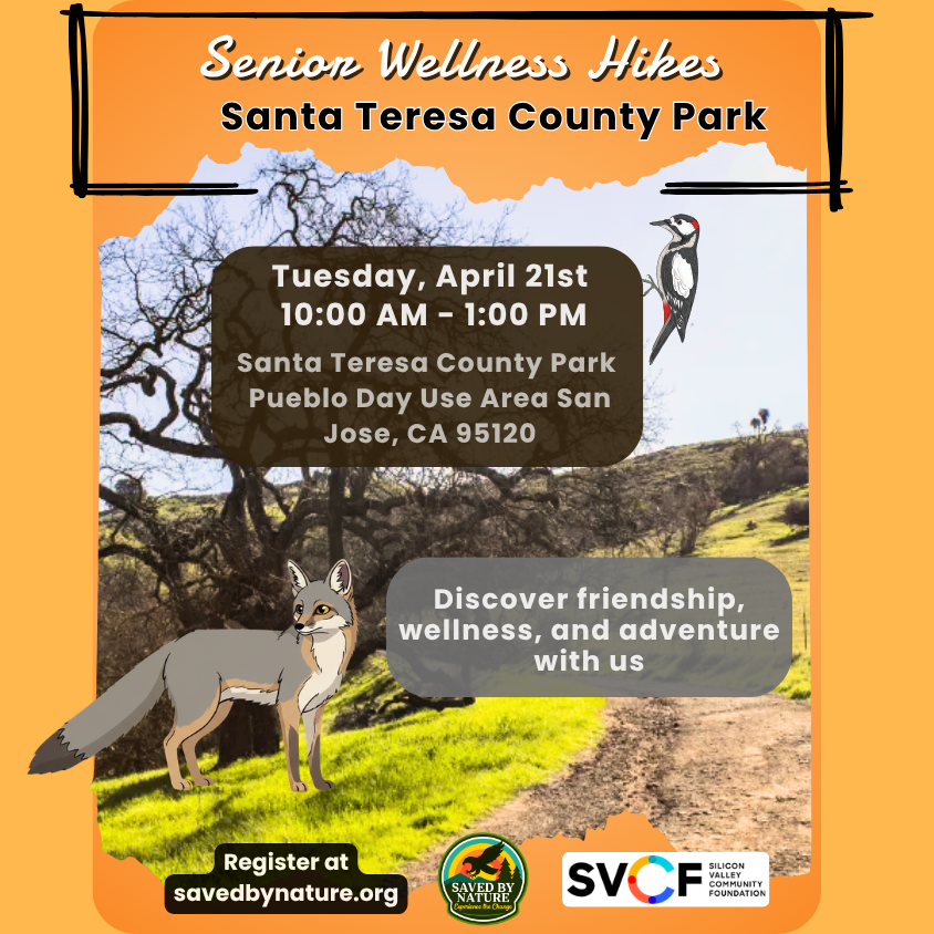 Senior Wellness Hike - Santa Teresa County Park image