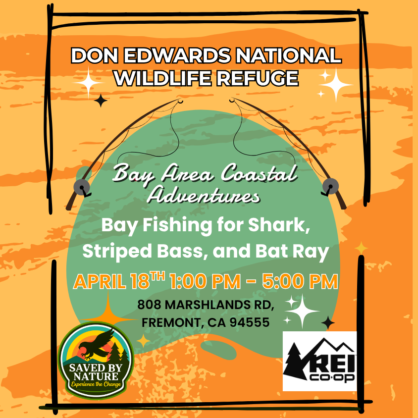 Bay Area Coastal Adventures - Bay Fishing for Shark, Striped Bass, and Bat Ray at Don Edwards National Wildlife Refuge image