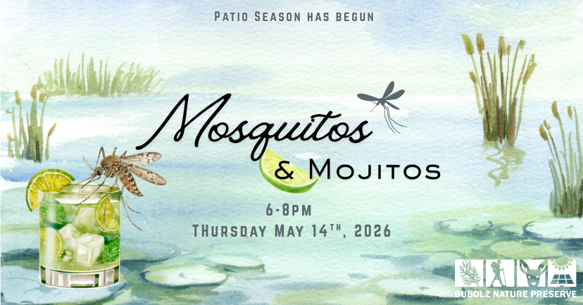 Mosquitos & Mojitos  image
