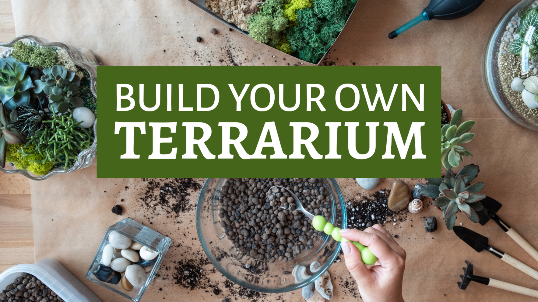 Build Your Own Terrarium image