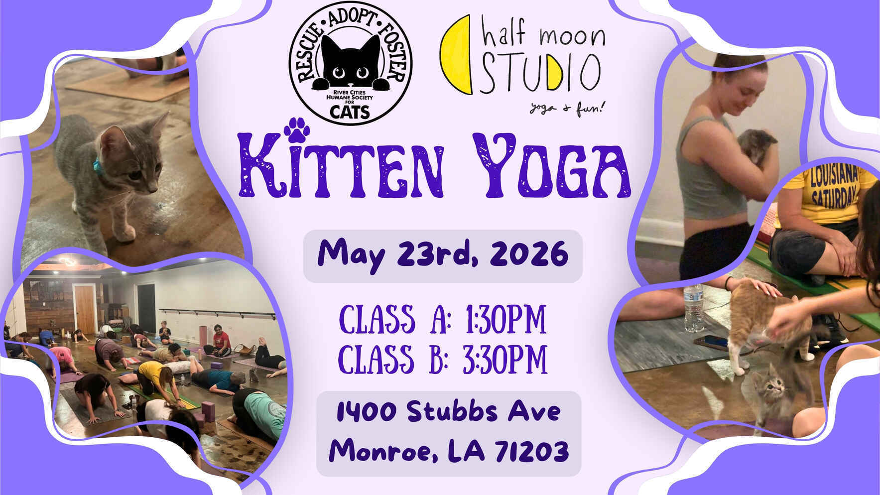Kitten Yoga at Half Moon Studios image