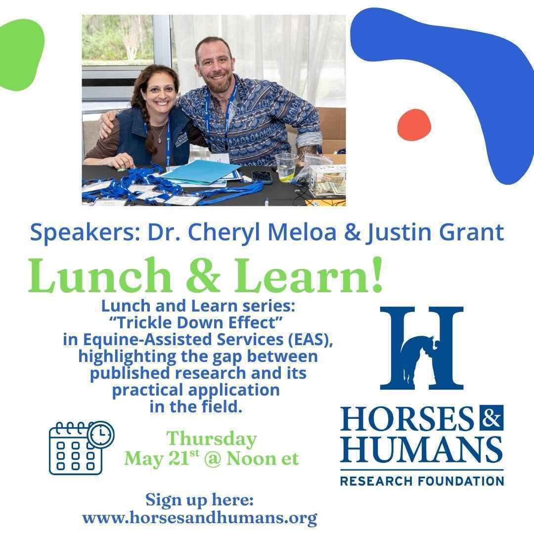 Lunch and Learn May 2026 image