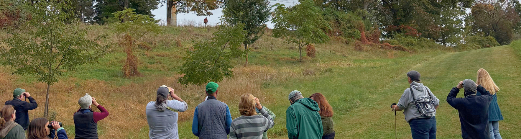 Spring Migratory Bird Walk image