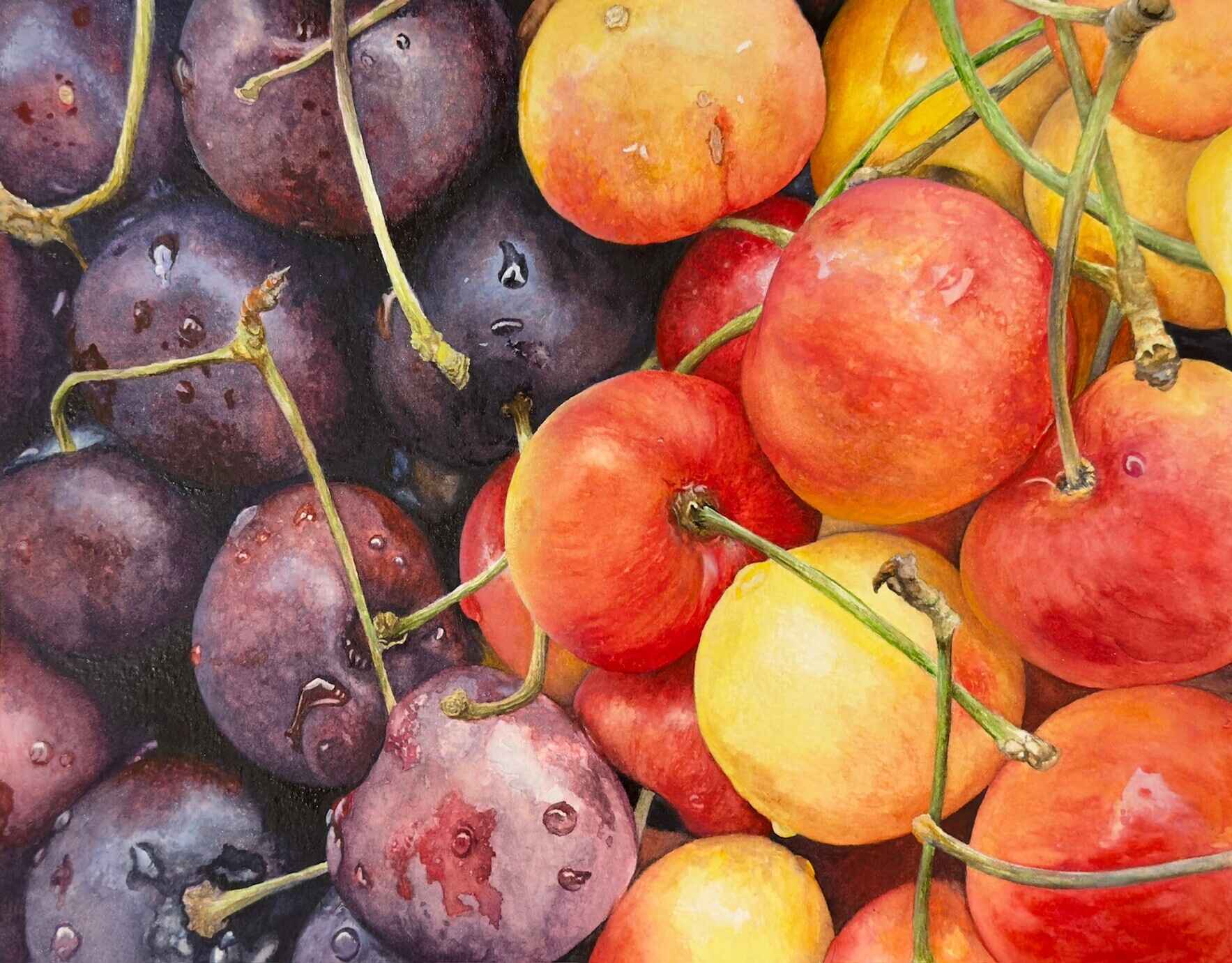 2026 - Private Watercolor Painting Lessons with Jenny Ambrose image