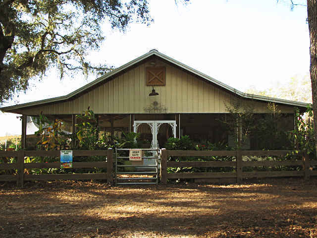 Party With The Rescues at Rooterville image