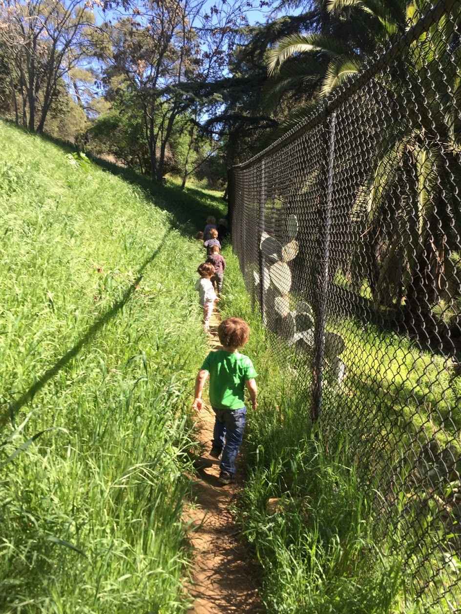 Donate Today to Northeast LA Forest School's Scholarship Fund image