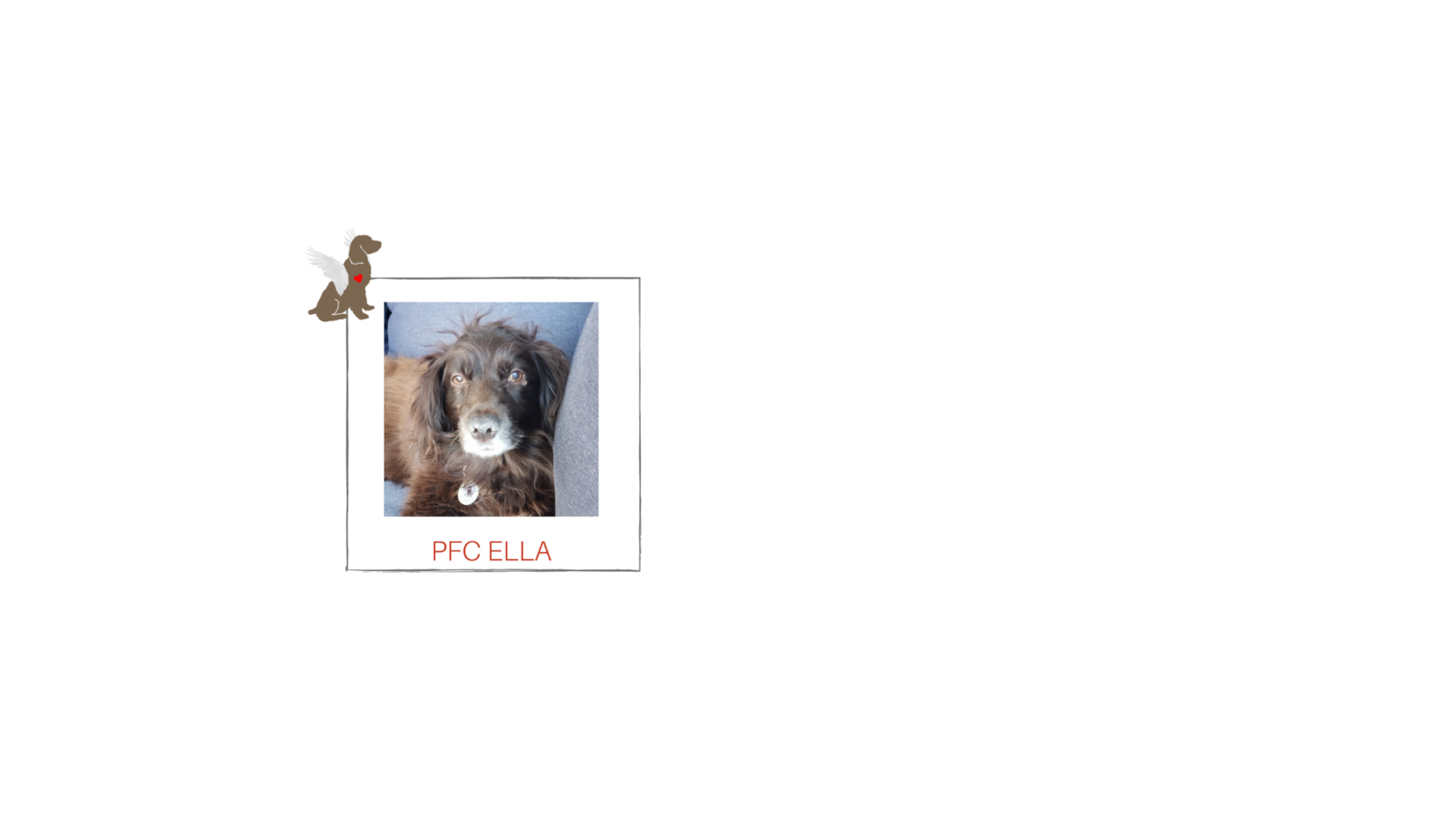 You can be Ella's Guardian Angel! Check Out Her Story Below! image