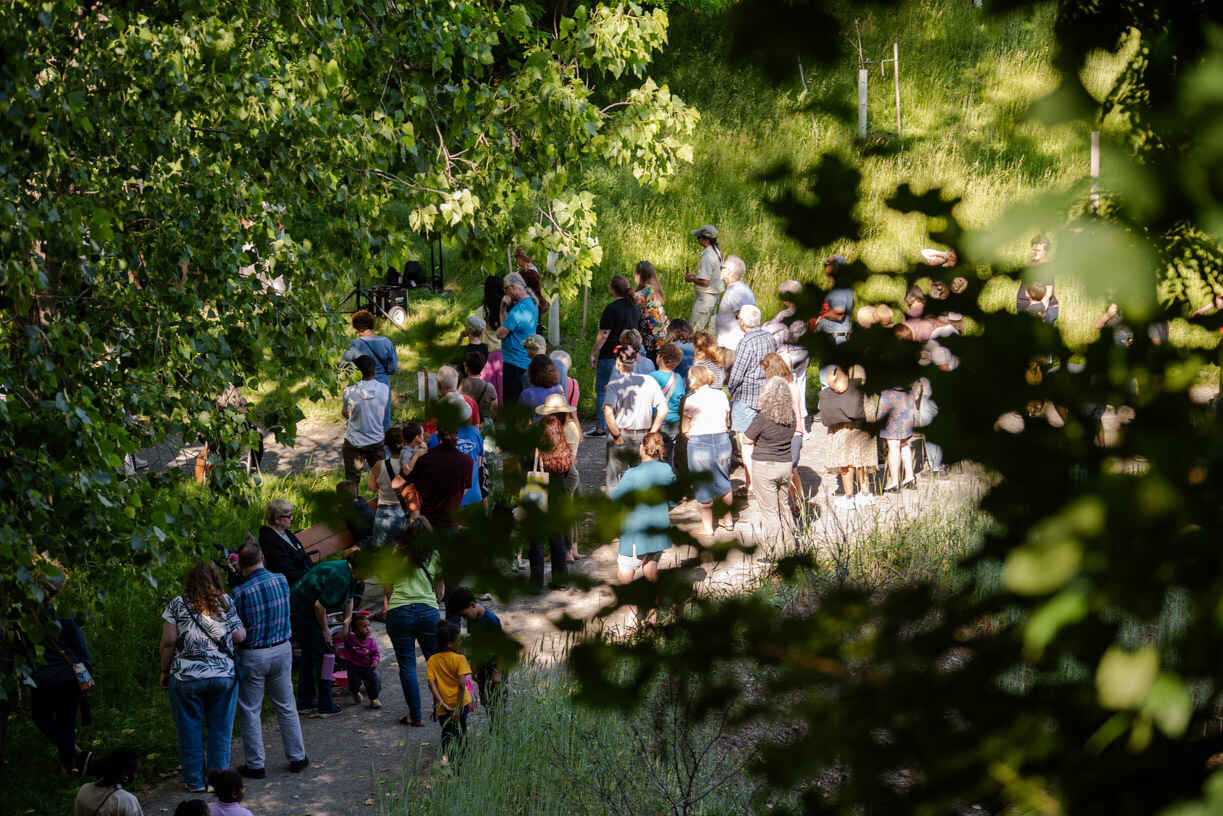 Give for Green Space image