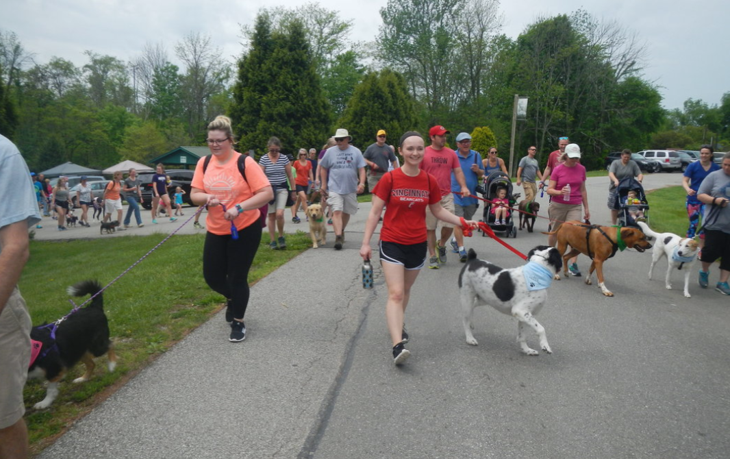 2020 NKY Dog Walkathon image