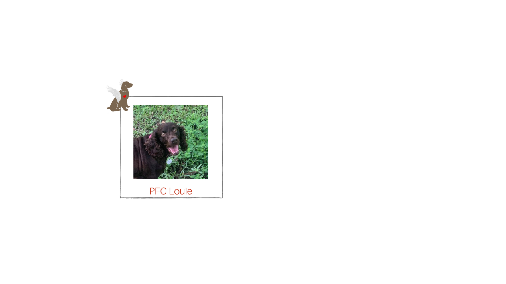 You can be Louie's Guardian Angel! Check Out Her Story Below! image