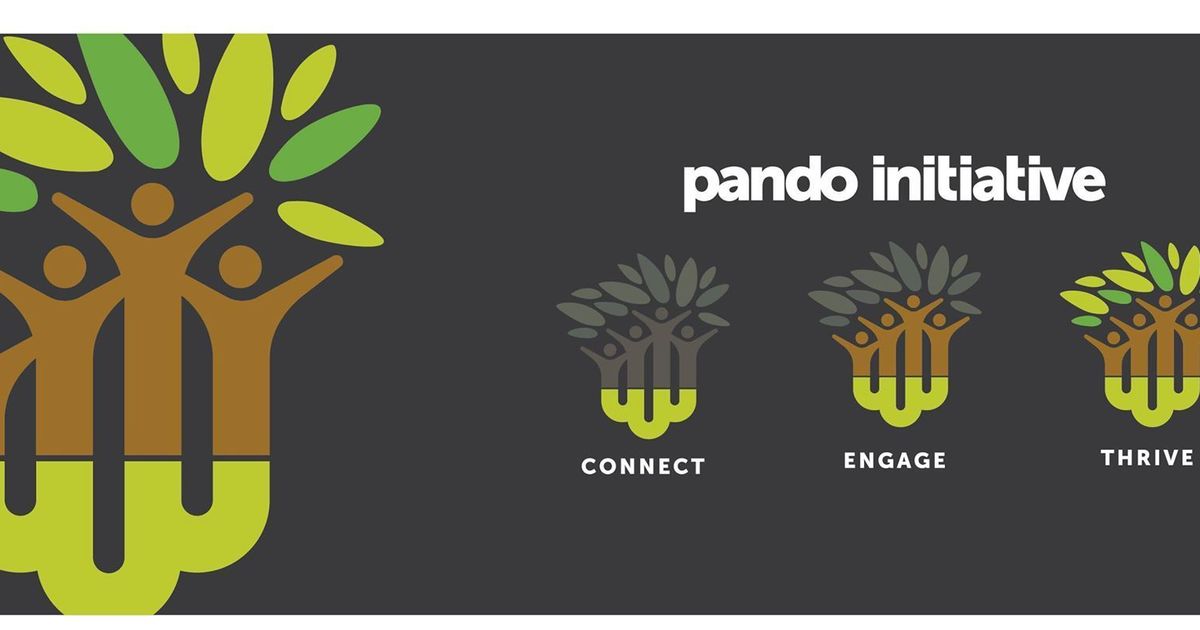 Pando Initiative The Pando Initiative - Connect, Engage, Thrive
