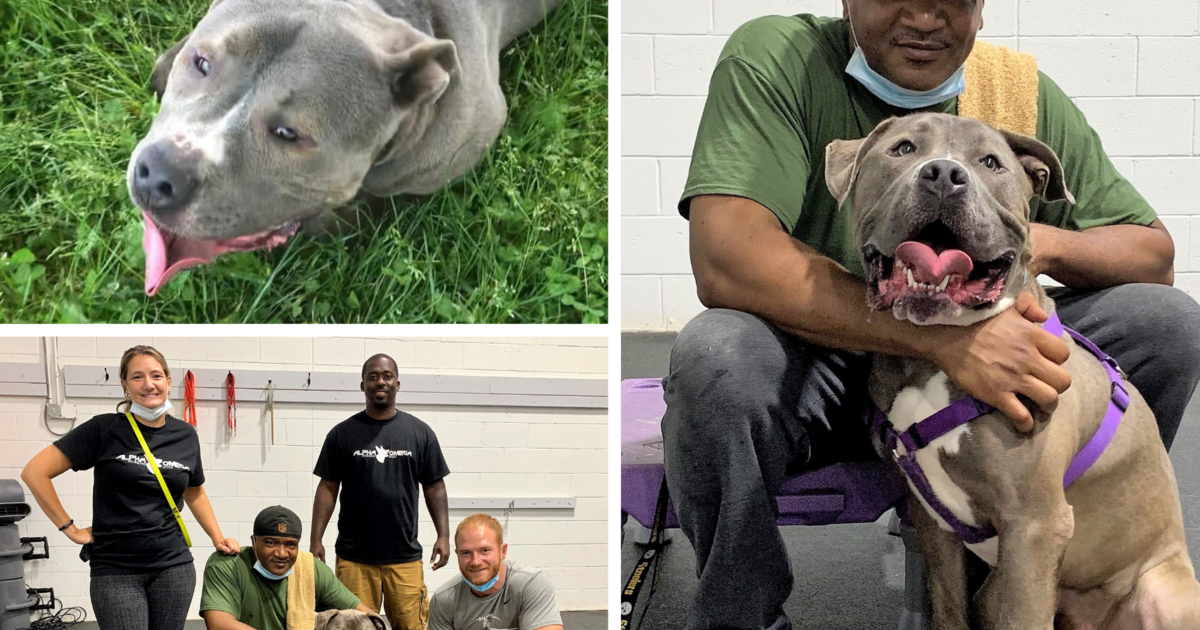 Friends of the Burlington County Animal Shelter Turn Those UnderDOGS