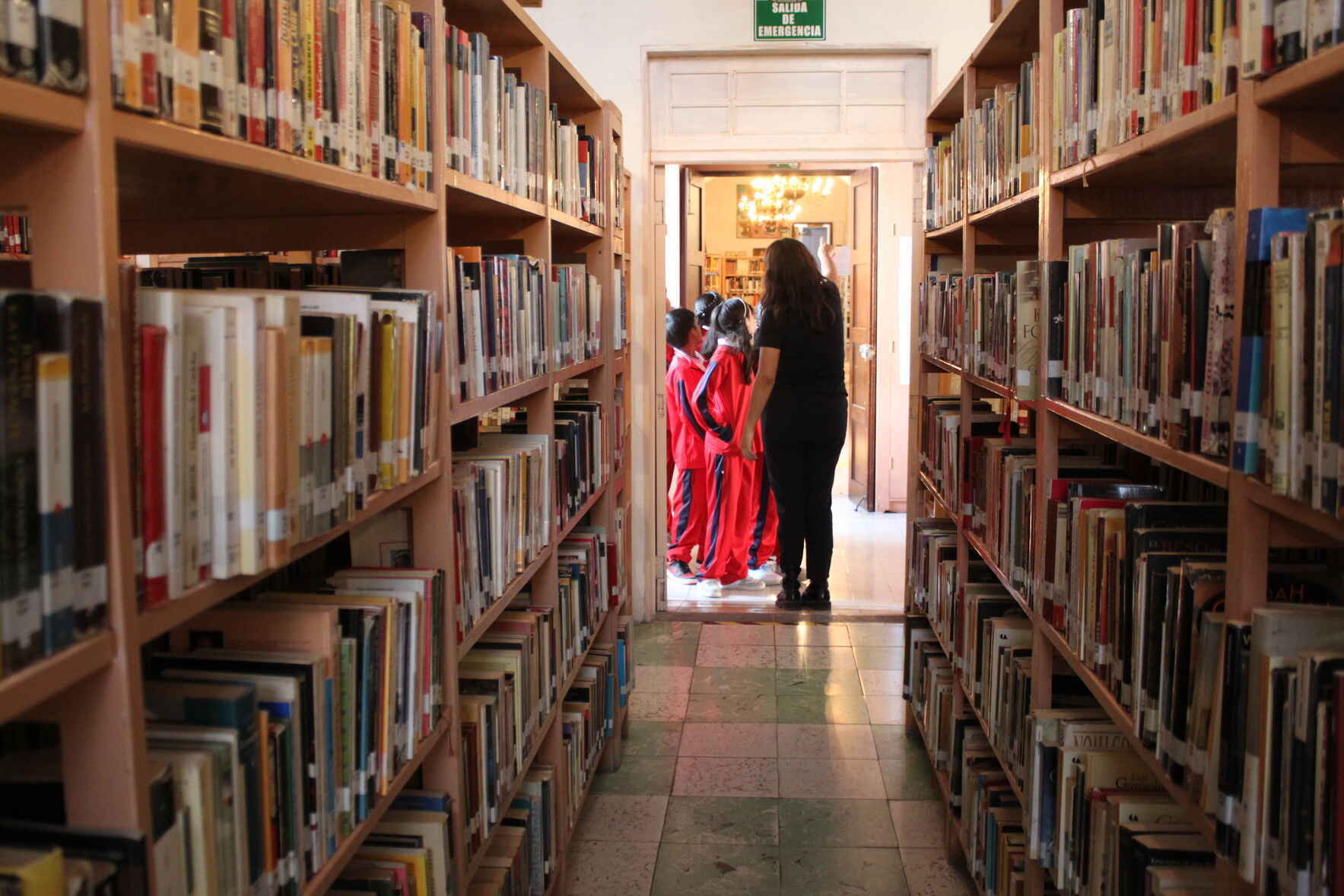 Your public library in San Miguel needs you! image