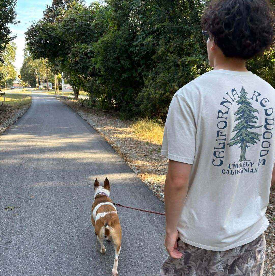 Remember or honor a special person or pet with a gift to HSHC image