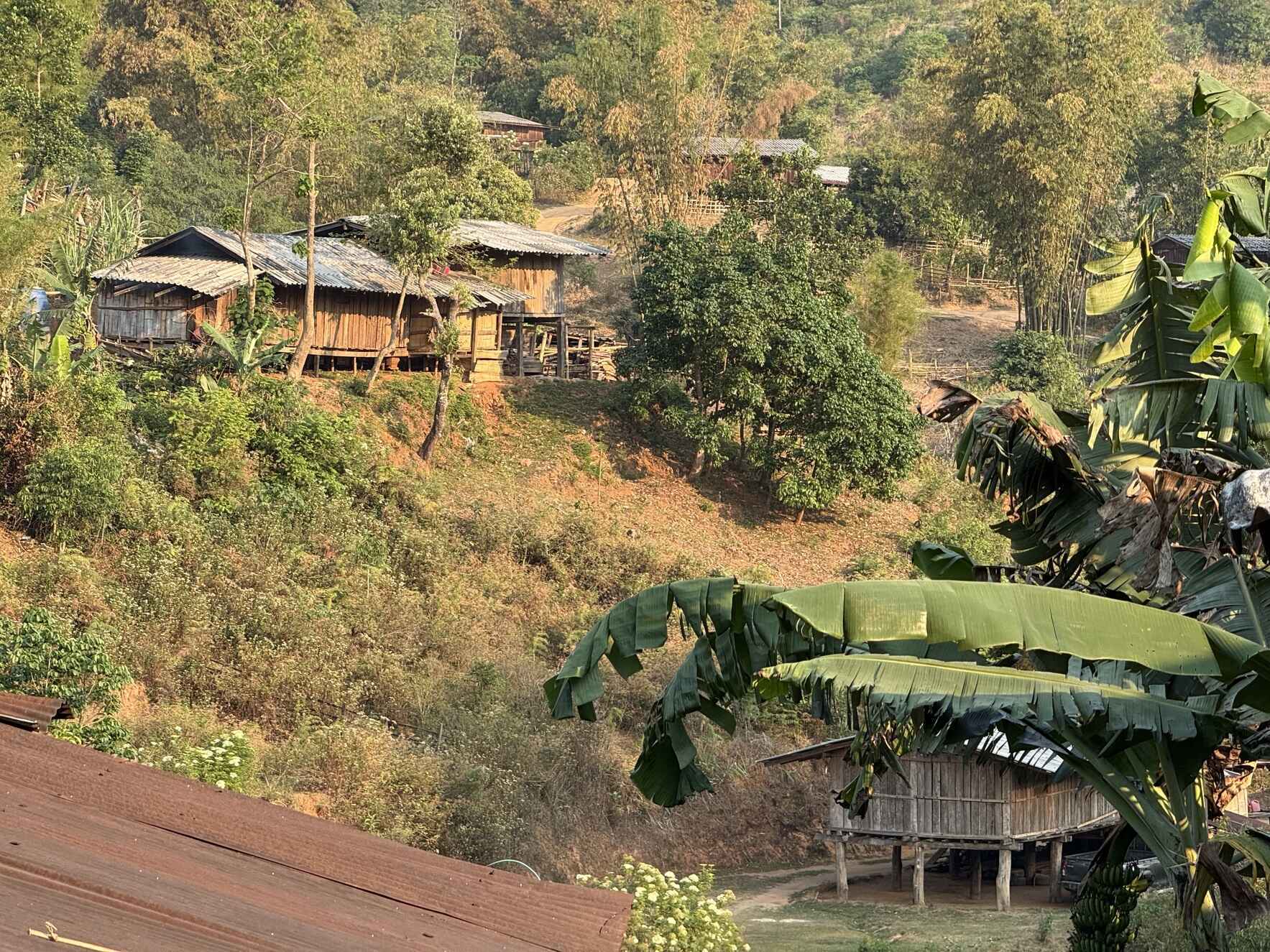Integrated Tribal Development Foundation image