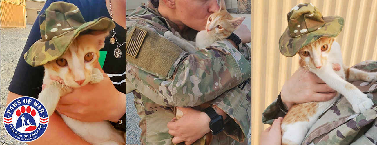 Please Donate to Bring Kit-Kat to the U.S. image