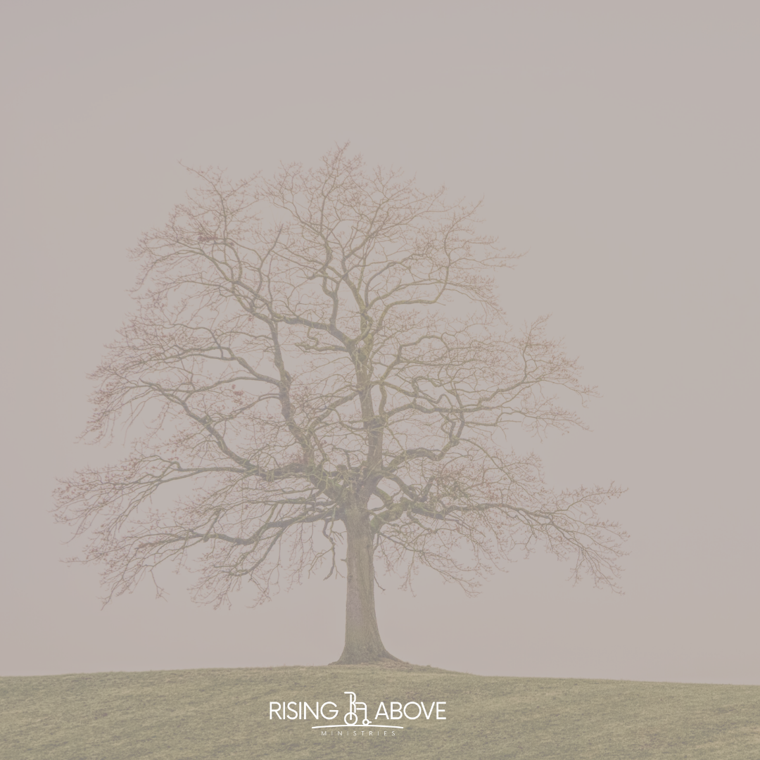 Support Rising Above Ministries & honor the life of Zion Coates image