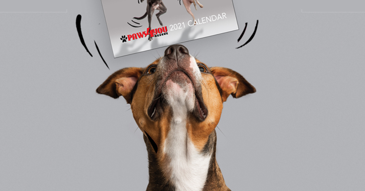Paws 4 You Rescue & Boarding - 2021 PAWS4you Calendar