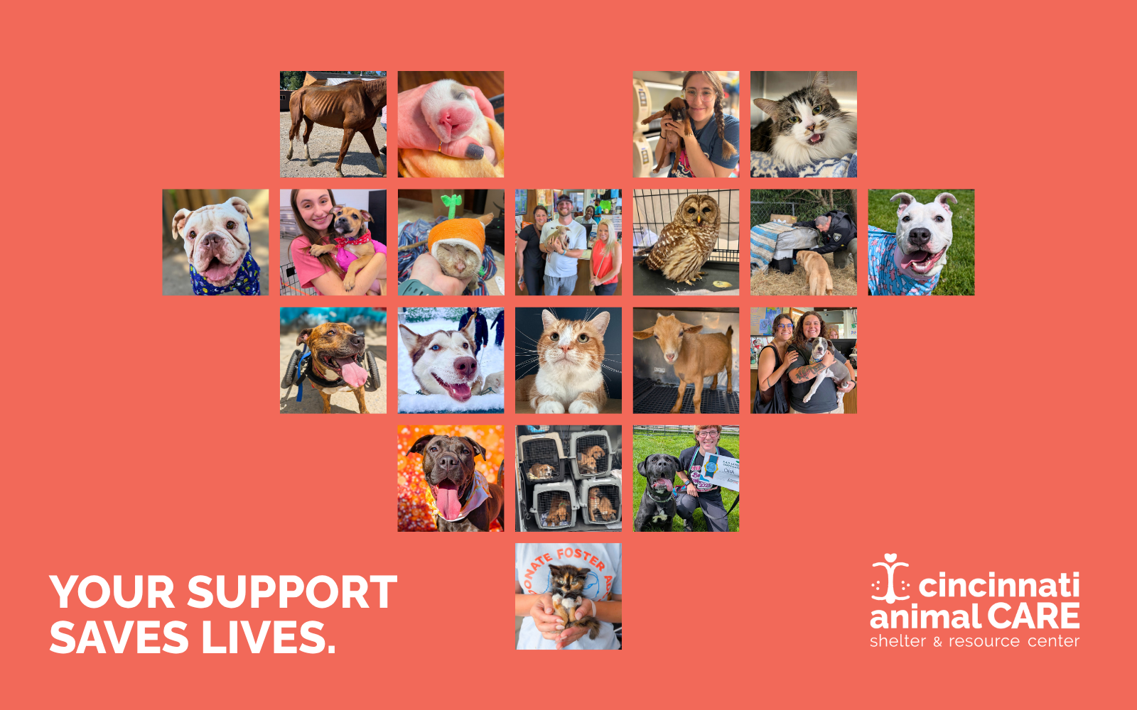 Support Lifesaving Programming Today! image