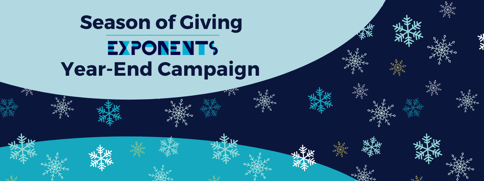 Year-End Campaign 2020 image