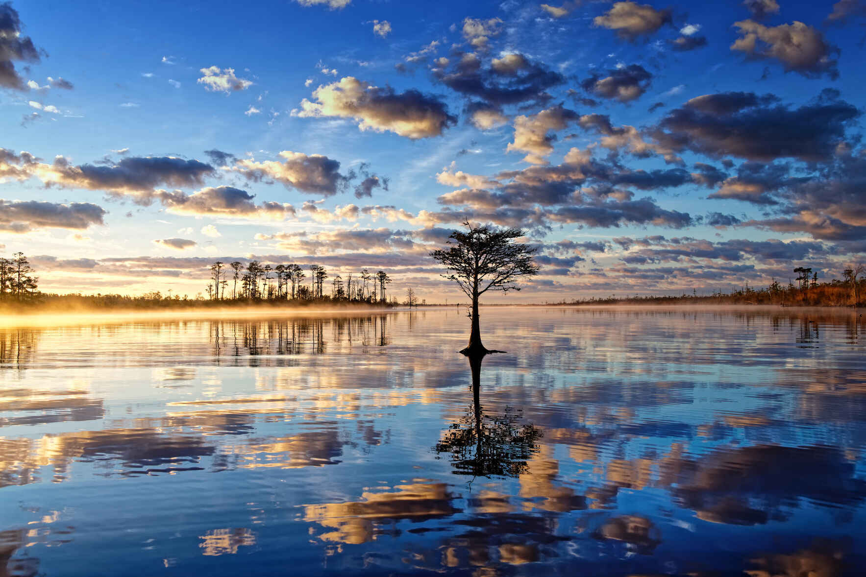 Donate to LRNow's Annual Fund image