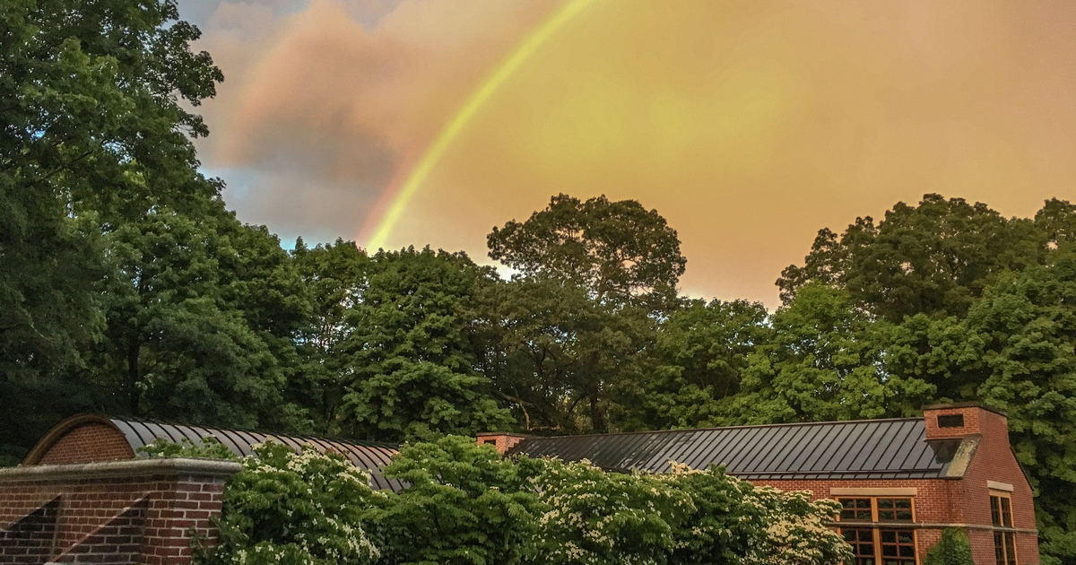 The Walden Woods Project Appeal 2020