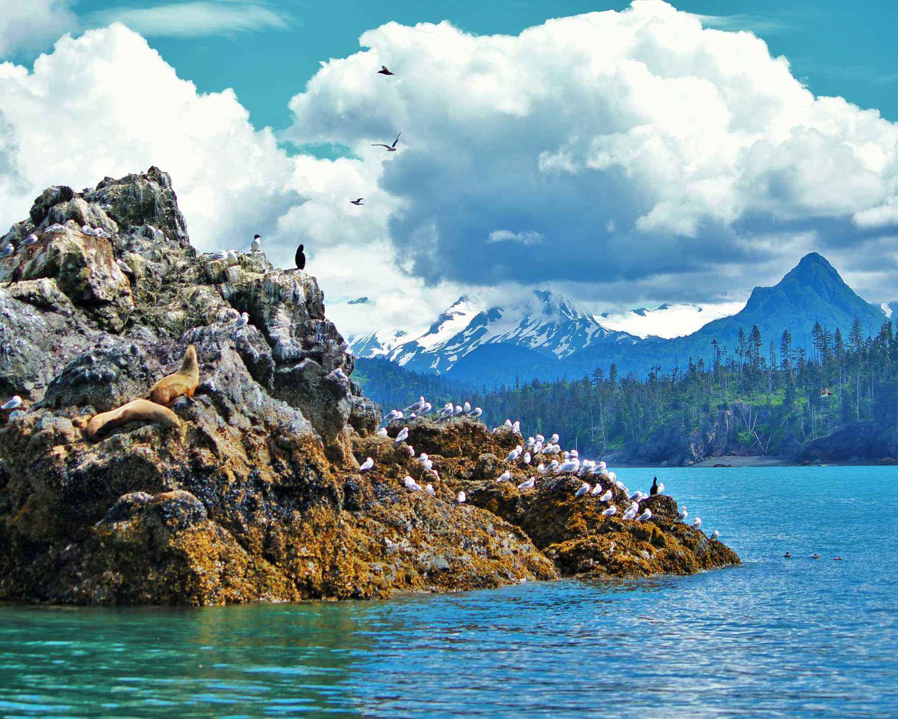 Keep Personal Watercraft out of Kachemak Bay image