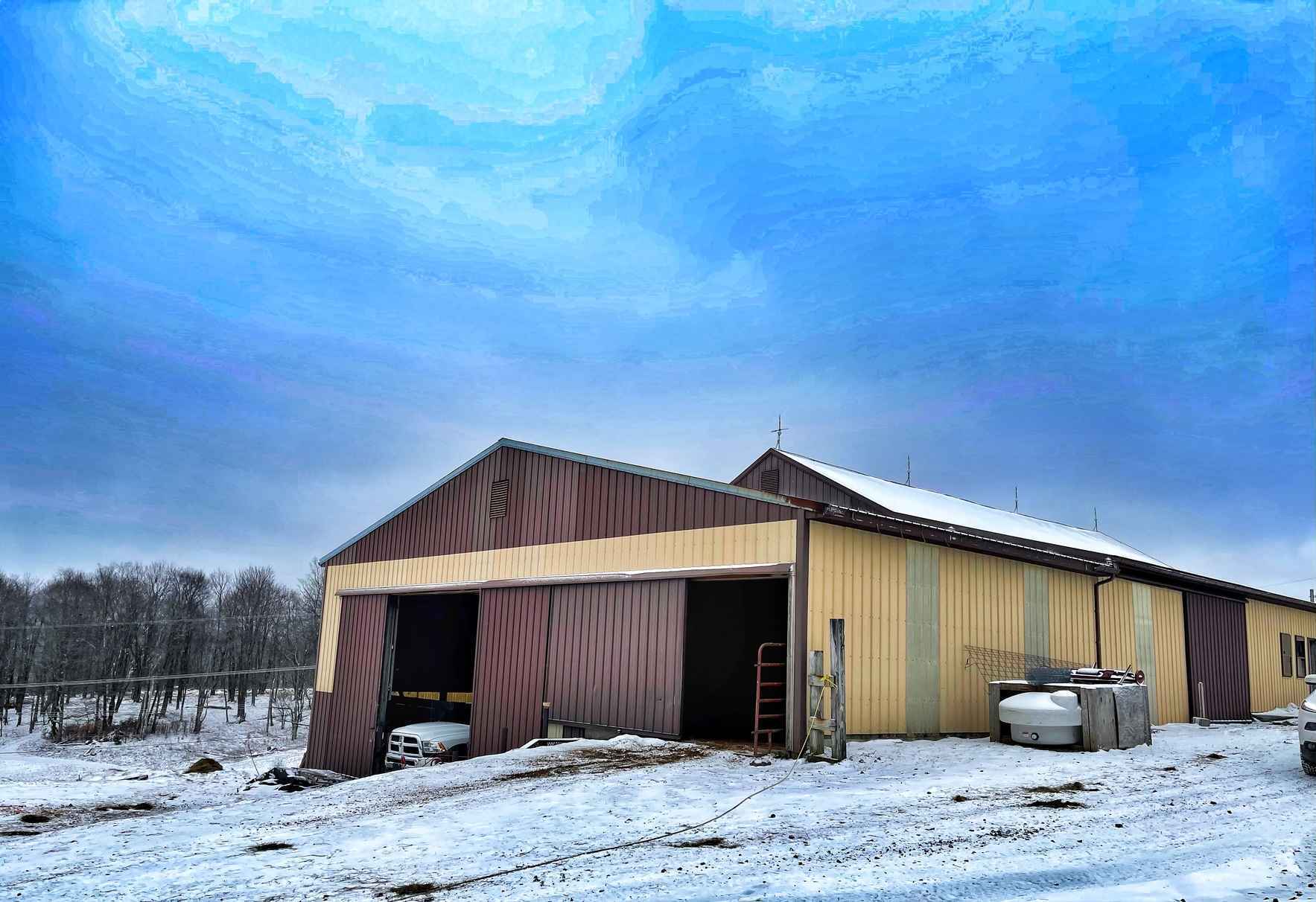 Help Elvis the Horse Raise Money to Repair the Winter Barn Roof! image