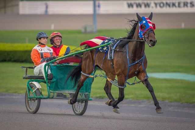 Your donations are working to help Veterans & Horses! image