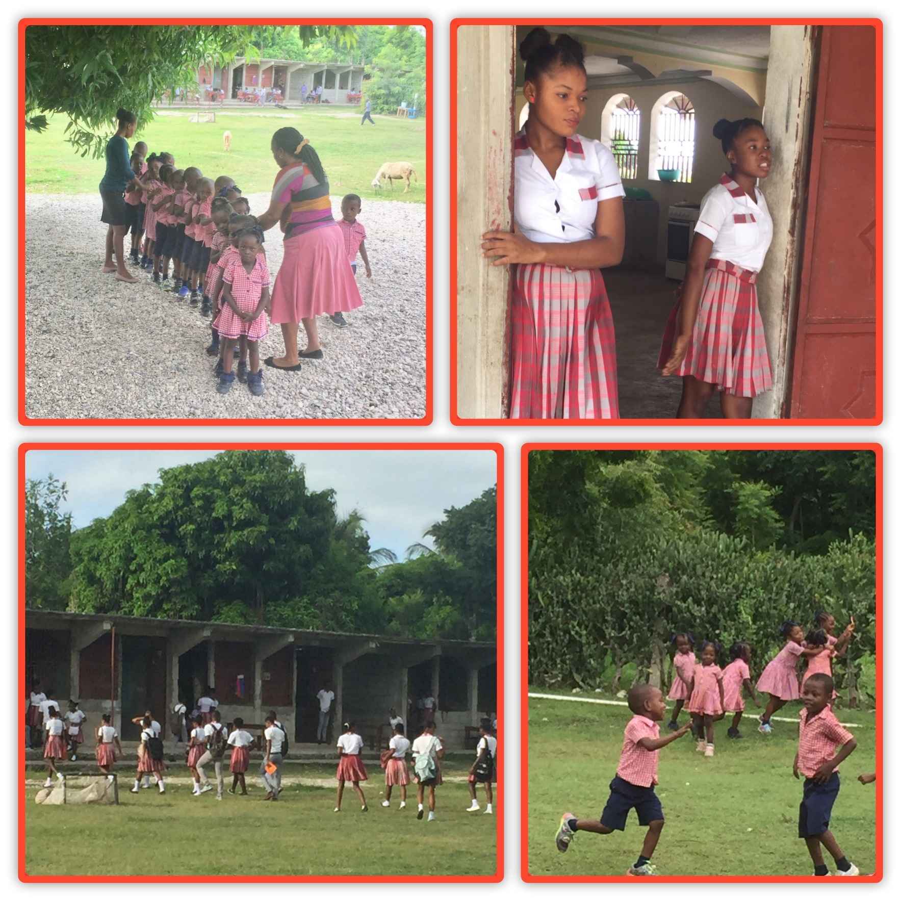 Stonington Stingrays unite to help in Haiti image