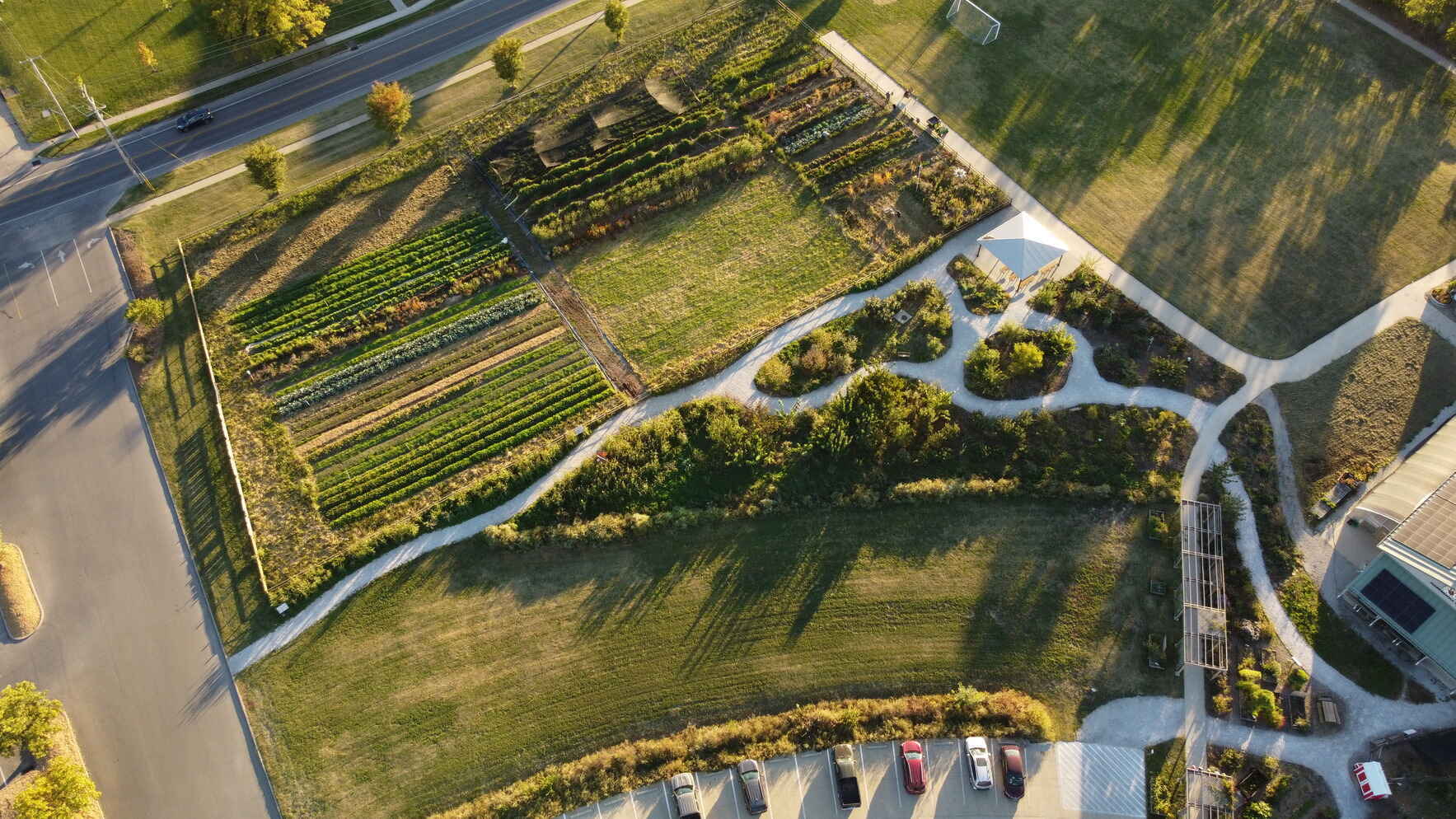 Sponsor a row today! image