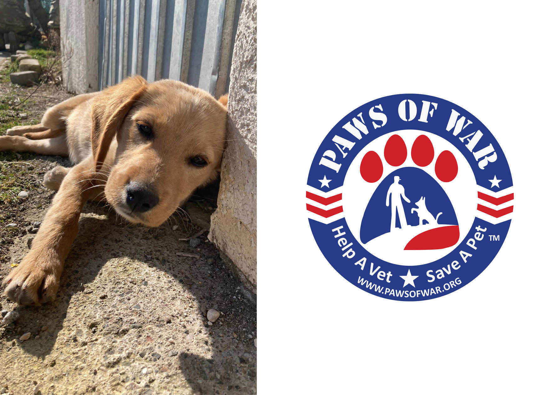 Save Athena, Flower and Socks image